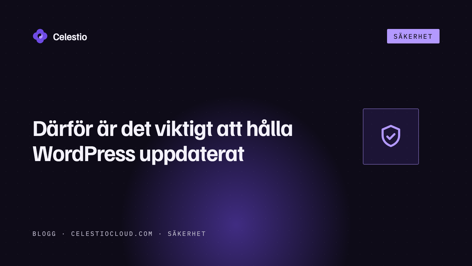 Därför är det viktigt att hålla WordPress uppdaterat