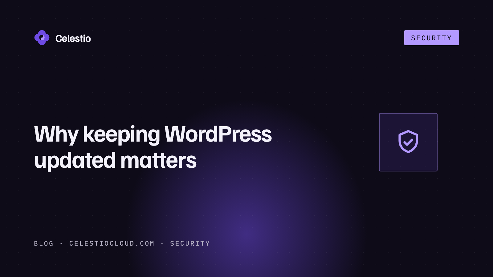 Why keeping WordPress updated matters