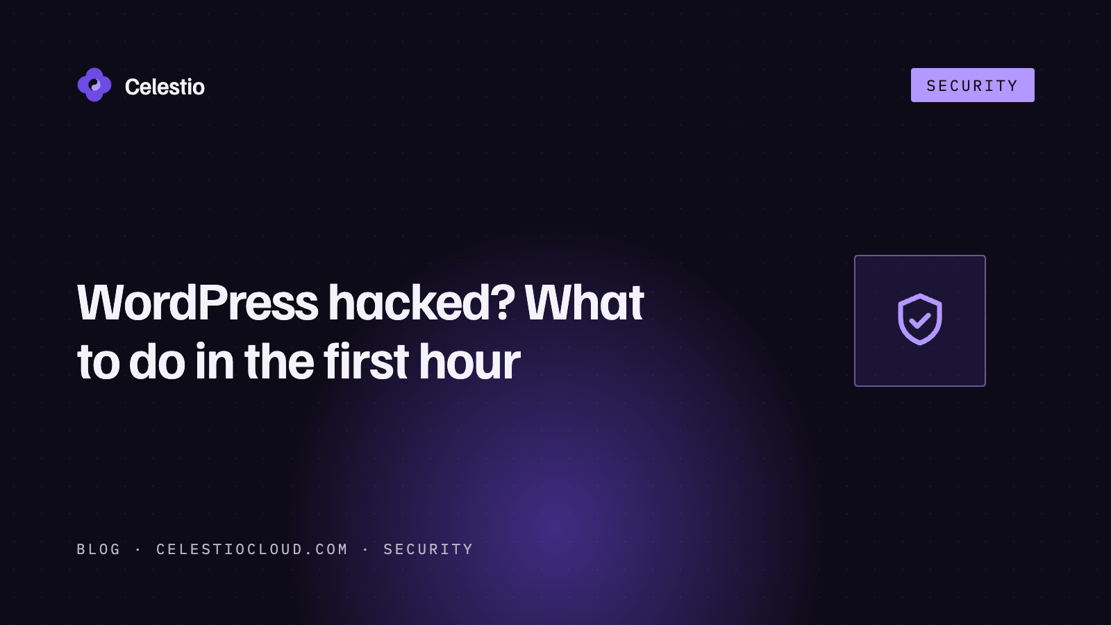 WordPress hacked? What to do in the first hour