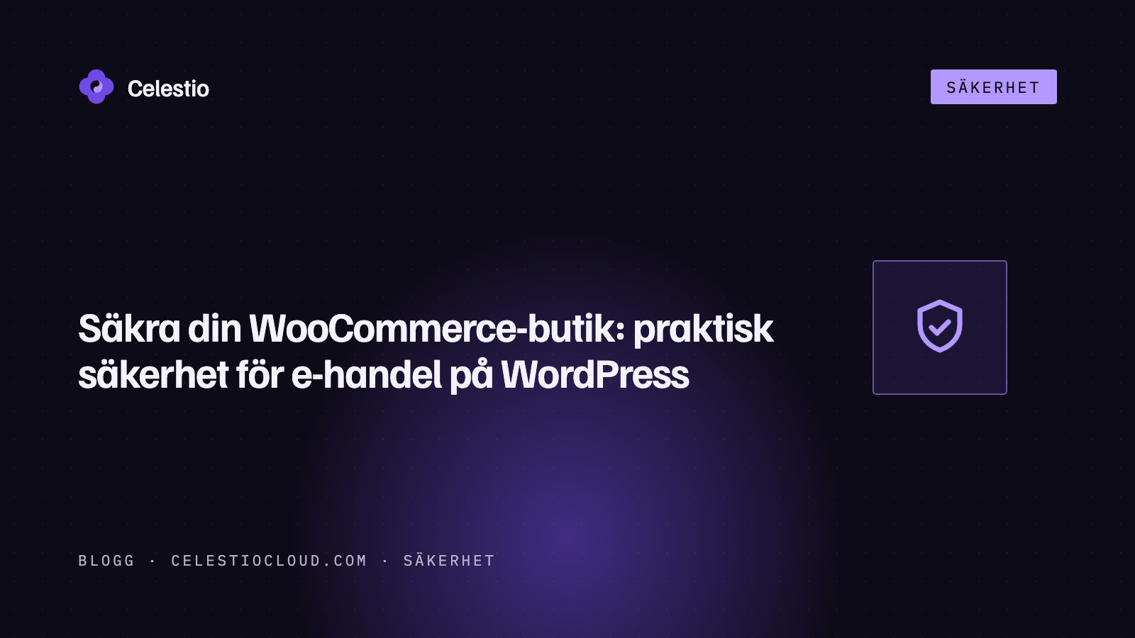 Säkra din WooCommerce-butik: praktisk säkerhet för e-handel på WordPress