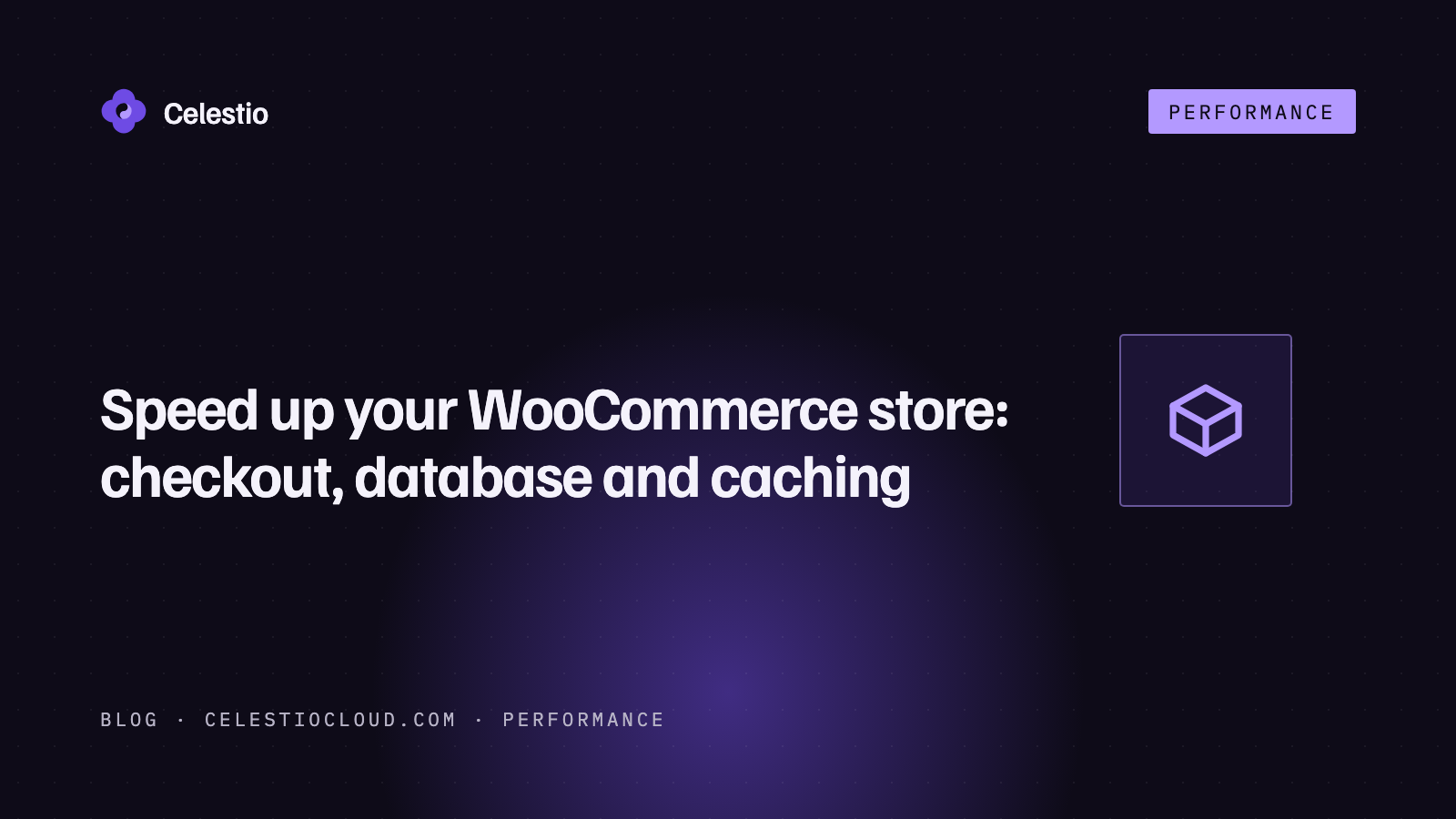 Speed up your WooCommerce store: checkout, database and caching for dynamic pages