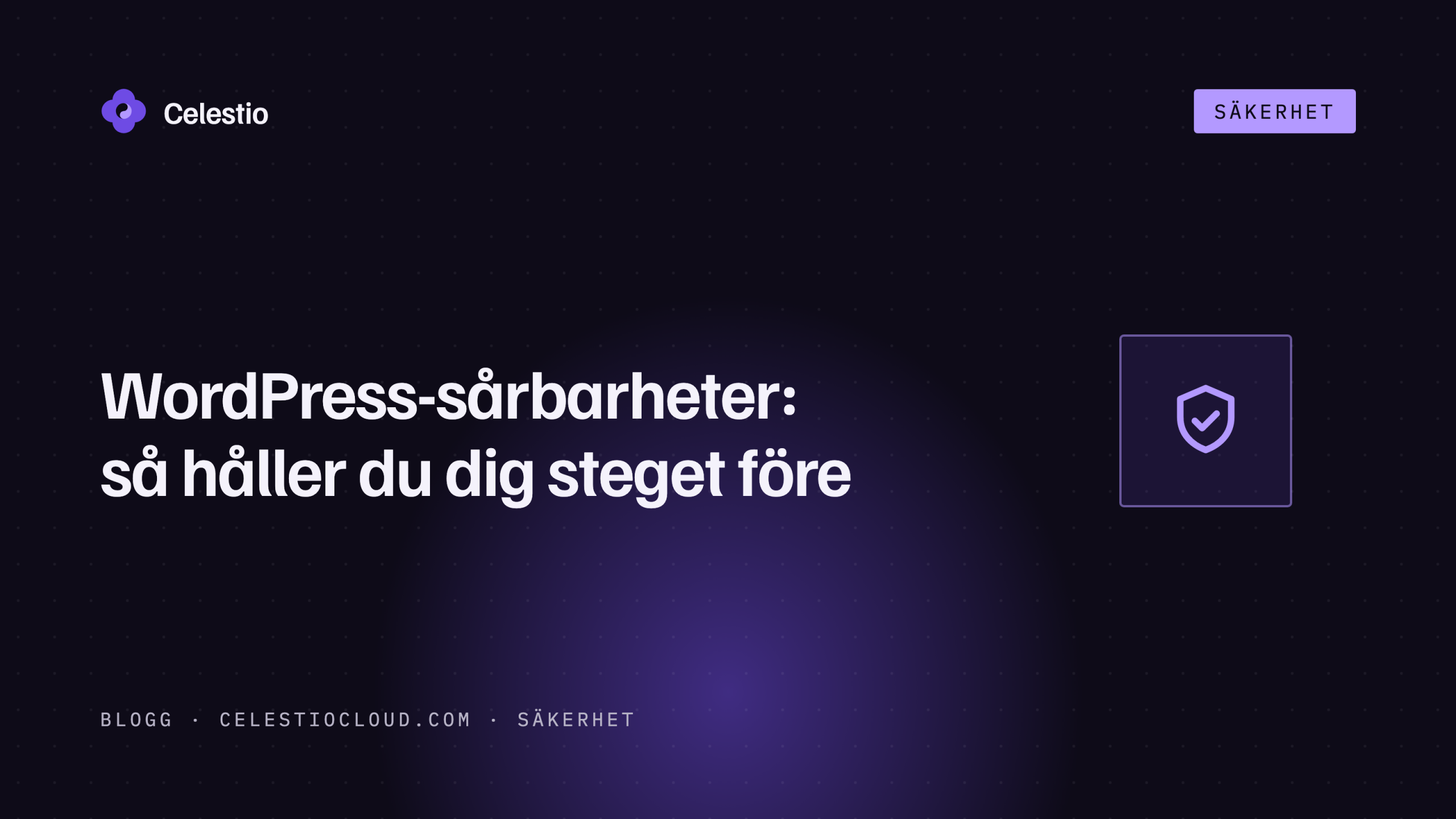 WordPress-sårbarheter: så håller du dig steget före
